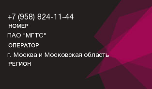 9588241144